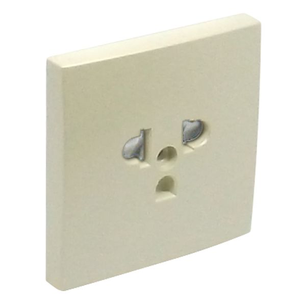 SAF C.PLATE F/EARTH SOCKET (EURO-USA) PEARL image 2