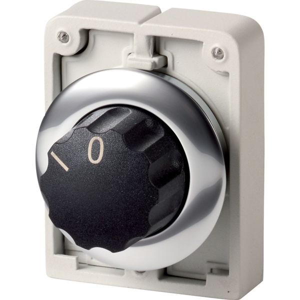 M30C-FWR Changeover switch, RMQ-Titan, With rotary head, maintained, 2 positions, inscribed, Metal bezel image 4