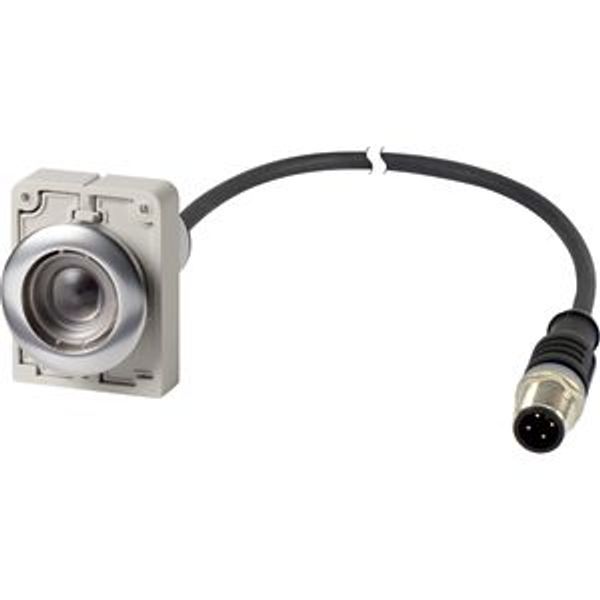 Pushbutton, Flat, maintained, 1 N/O, Cable (black) with M12A plug, 4 pole, 1 m, Without button plate, Metal bezel image 2