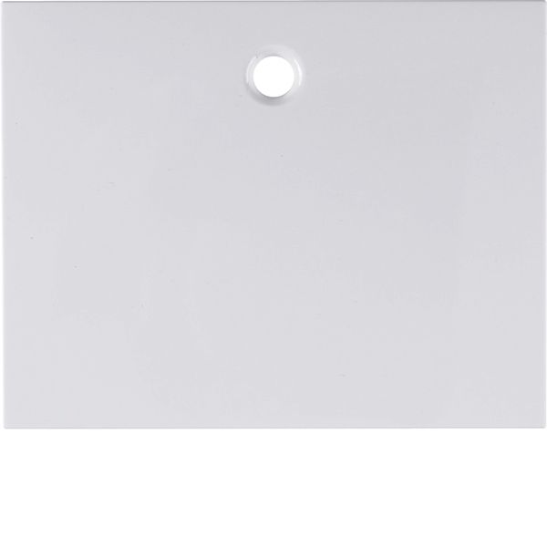 Centre plate for pullcord switch/pullcord push-button, K.1, p. white g image 3