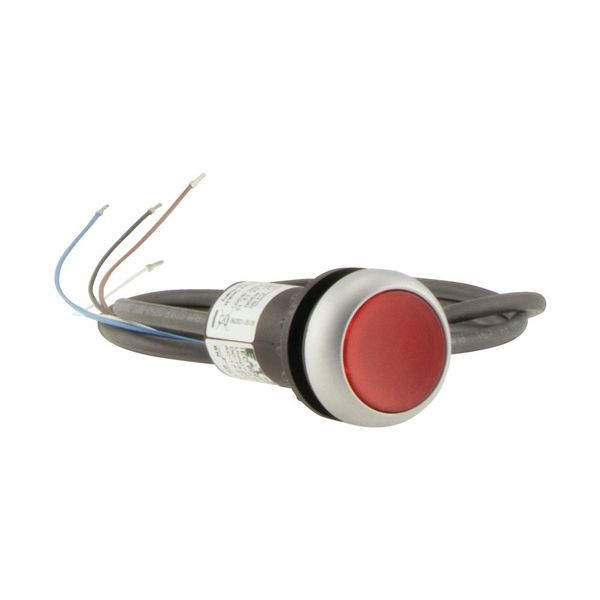 C22-DRL-R-K01-24-P62 Illuminated pushbutton actuator, classic, flat, maintained, 1 N/C, red, 24 V AC/DC, cable (black) with non-terminated end, 4 pole, 1 m image 10