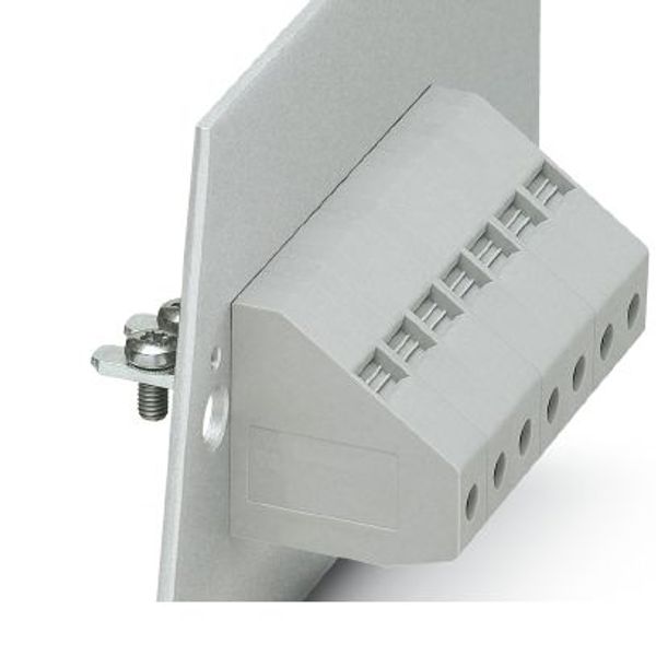 Image shows the version in gray image 1