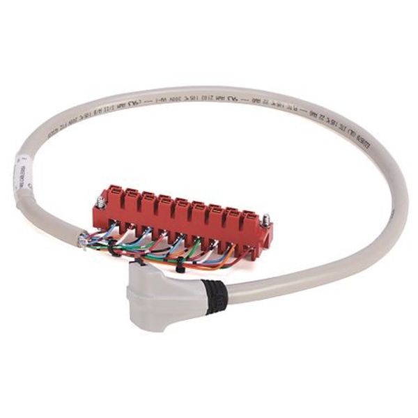 Allen-Bradley 1492-CABLE010A Connection Products, Digital Cable, 1.0 m (3.28 ft), 1492-CABLE(1)A Pre-WIRED DISC image 1