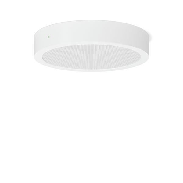 TOLEDO FLAT+ round, 15 W, 1800 lm, 830, 840, white, on/off Surface mou image 1