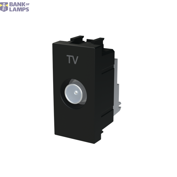 N2150.8 NT - Presa TV Intermedia image 2