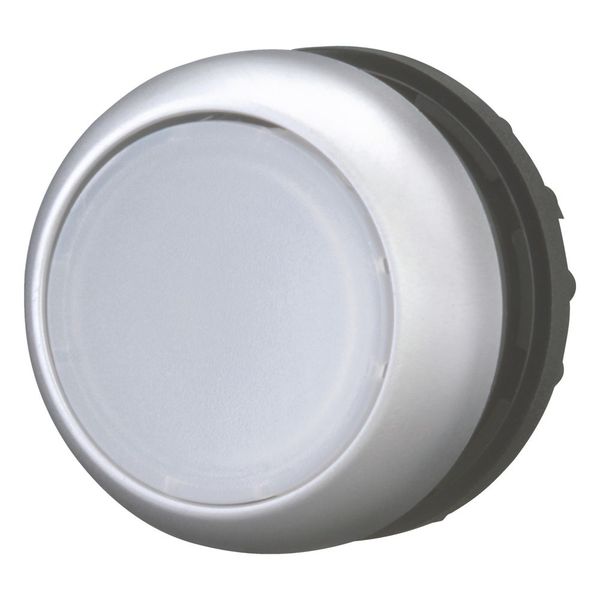 M22-DRL-W Illuminated pushbutton actuator, RMQ-Titan, Flush, maintained, White, Blank, Bezel: titanium image 5