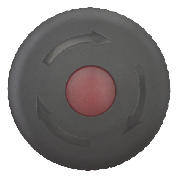 M22S-PVLT HALT/STOP-Button, RMQ-Titan, Mushroom-shaped, 38 mm, Illuminated with LED element, Turn-to-release function, Black, yellow, RAL 9005 image 5