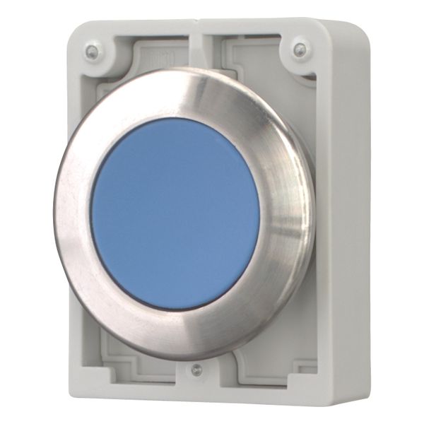 M30I-FDR-B Pushbutton, RMQ-Titan, flat, maintained, Blue, blank, Front ring stainless steel image 3