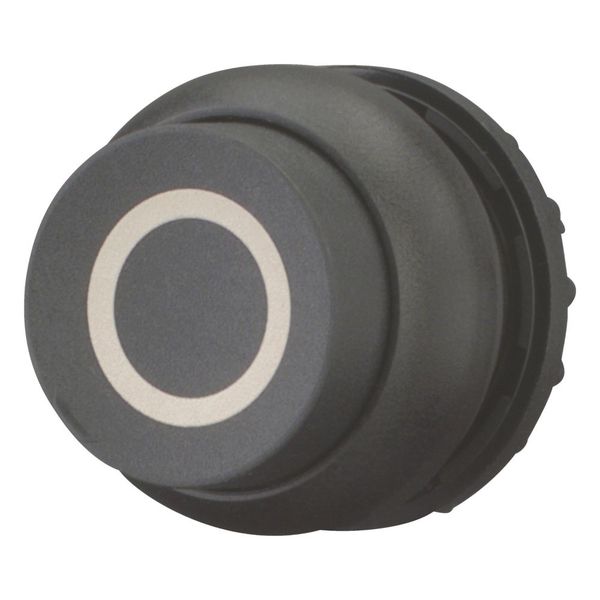 M22S-DRH-S-X0 Pushbutton, RMQ-Titan, Extended, maintained, black, inscribed, Bezel: black image 5