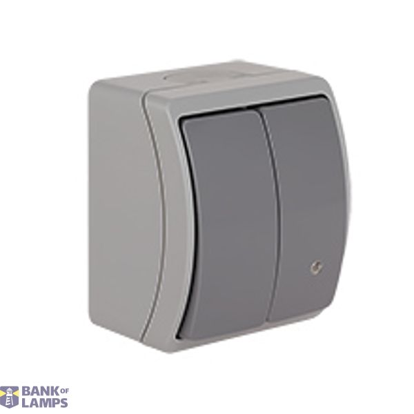 VW-2L Koala Two-Circuit Switch with illumination surface mounted IP44 gray/graphite VW 152-58 image 1