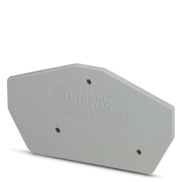 Cover D-STS 4-TWIN/L image 1