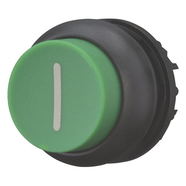 M22S-DH-G-X1 Pushbutton, RMQ-Titan, Extended, momentary, green, inscribed, Bezel: black image 3