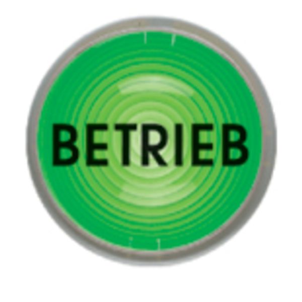 Adhesive sticker "BETRIEB" image 2