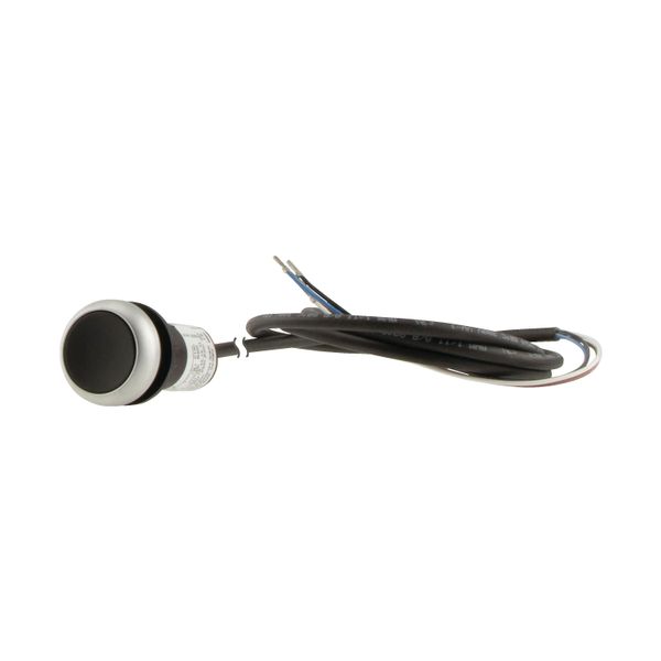 C22-D-S-K01-P62 Pushbutton, Flat, momentary, 1 NC, Cable (black) with non-terminated end, 4 pole, 1 m, black, Blank, Bezel: titanium image 12