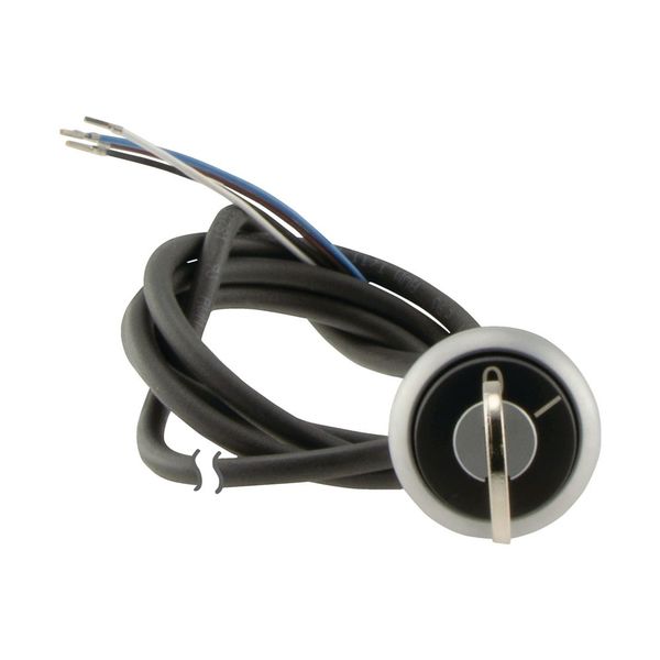 C22-WS-MS1-K11-P62 Key-operated actuator, RMQ compact solution, momentary, 1 NC, 1 N/O, Cable (black) with non-terminated end, 4 pole, 1 m, 2 positions, MS1, Bezel: tita image 13