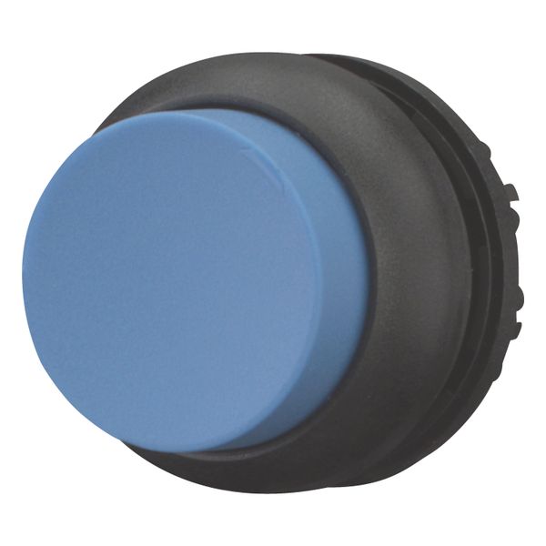 M22S-DRH-B Pushbutton, RMQ-Titan, Extended, maintained, Blue, Blank, Bezel: black image 9