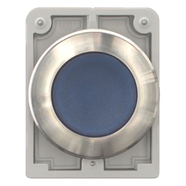 M30I-FDL-B Illuminated pushbutton actuator, RMQ-Titan, flat, momentary, Blue, blank, Front ring stainless steel image 10