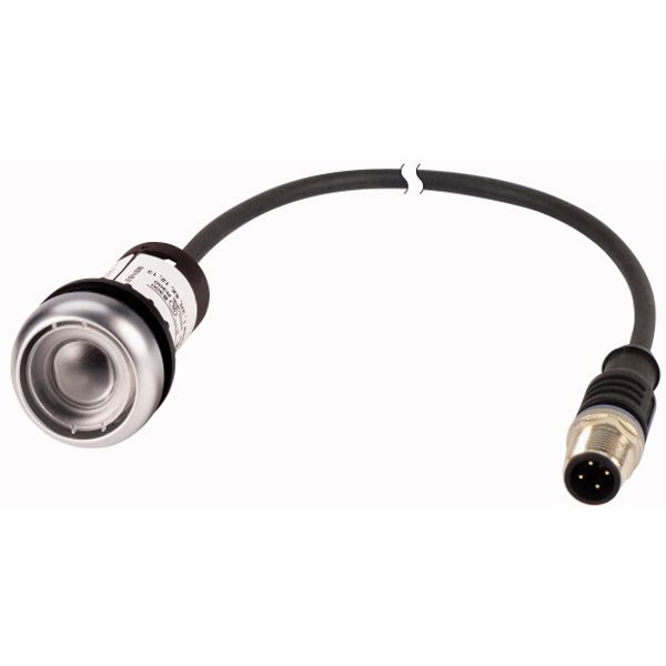 C22-D-X-K10-P1 Pushbutton, Flat, momentary, 1 N/O, Cable (black) with M12A plug, 4 pole, 0.2 m, Without button plate, Bezel: titanium image 1