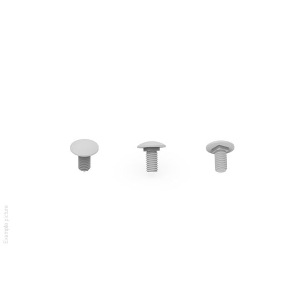 ROUND HEAD SCREW WITH SQUARE UNDERHEAD D0C10A10X25D image 1