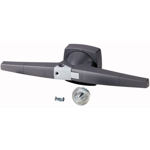 K5DG/P Toggle, 14mm, door installation, gray, padlock image 1