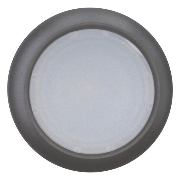 M22S-DL-W Illuminated pushbutton actuator, RMQ-Titan, Flush, momentary, White, Blank, Bezel: black image 10
