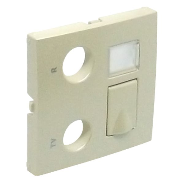COV F/R-TV-RJ45/R-TV-RJ45-FO MULT SOCKET PE image 2