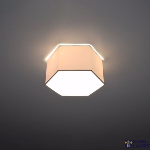 CEILING LAMP SUNDE 15 WHITE E27 2X60W IP20 image 6