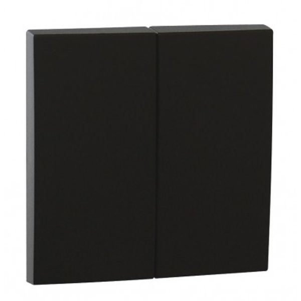 ROCKER F/DOUBLE-FUNCTION MECHANISM MATTE BK image 1