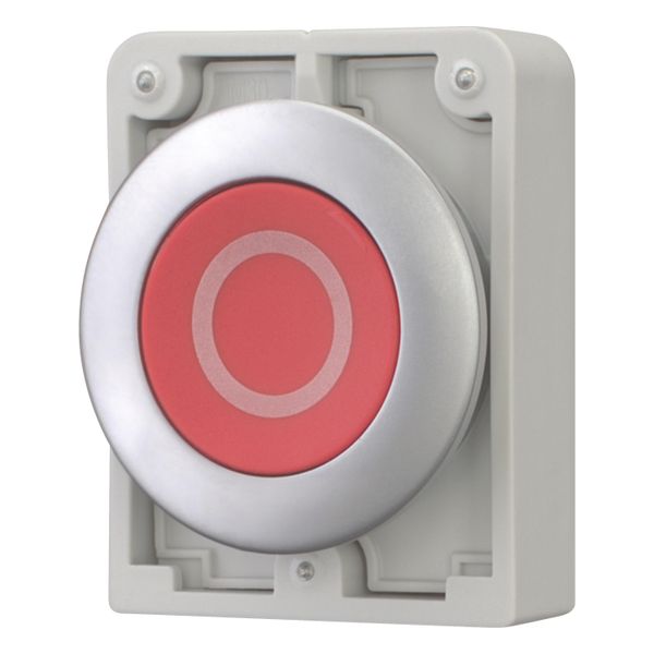 M30C-FD-R-X0 Pushbutton, RMQ-Titan, Flat, momentary, red, inscribed, Metal bezel image 2