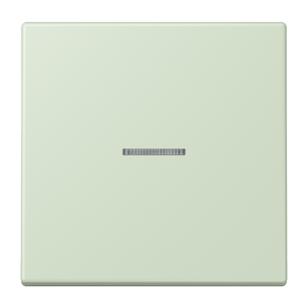 JUNG HOME push-button 1-gang BTLC17101218 image 1
