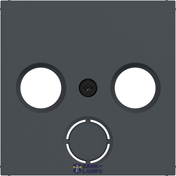 Central antenna socket 2/3-hole, breakable, A.x/C.x, antr. image 1