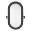 LED Bulkhead Basic 12W 3000K Black Oval thumbnail 1