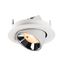 NUMINOS® GIMBLE S 2700K 20° white/chrome thumbnail 3