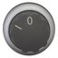 M22-WR Changeover switch, RMQ-Titan, With rotary head, maintained, 2 positions, inscribed, Bezel: titanium thumbnail 7