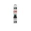 SN201-D6 Miniature circuit breaker - 1+NP - D - 6 A thumbnail 3