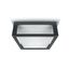 ANTHRACITE E27 2x12W PLAFO IP54 thumbnail 1