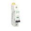 Miniature circuit-breaker, Acti9 iC60L, 1P, 1 A, C curve, 15000 A (IEC 60898-1), 100 kA (IEC 60947-2) thumbnail 3