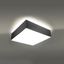 CEILING LAMP HORUS 35 GREY E27 2X60W IP20 thumbnail 5