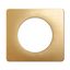 PLATE 1 GANG SATIN BRASS thumbnail 6