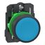 Plastic PB blue flush 1 NO Push-in thumbnail 2