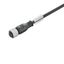 Sensor/actuator line, One end without connector, M12, Number of poles : 3, 10 m, Female socket, straight, Shielded: No, LED: No, Sheath material: PUR, Halogen: No thumbnail 3