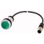 C22-DL-G-K10-24-P3 Illuminated pushbutton actuator, Flat, momentary, 1 N/O, Cable (black) with M12A plug, 4 pole, 0.5 m, LED green, green, Blank, 24 V AC/DC, Bezel: tita thumbnail 1