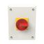 P3 Main switch, 80 A,Surface mounting, 3 pole, Form SE, Red, Door coup thumbnail 2