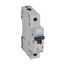 MCB TX³ 10000 - 1P - 230/400 V~ - 6 A - B curve thumbnail 2