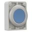 M30C-FDR-B Pushbutton, RMQ-Titan, Flat, maintained, Blue, Blank, Metal bezel thumbnail 6