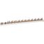 Z-SV-10/1P+N-F/13 Phase busbar, 2Ph, 10qmm, pin thumbnail 3