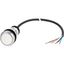 C22-DR-W-K10-P65 Pushbutton, classic, flat, maintained, 1 N/O, white, cable (black) with non-terminated end, 4 pole, 3.5 m thumbnail 5
