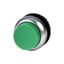M22-DRH-G Pushbutton, RMQ-Titan, Extended, maintained, green, Blank, Bezel: titanium thumbnail 3