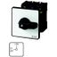 P3-63/Z/N On-Off switch, P3, 63 A, rear mounting, 3 pole + N, with black thumb grip and front plate thumbnail 1