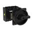 P3 Main switch, 80 A,Rear mounting, 4 pole, Form V/SVB, Black, Door co thumbnail 4